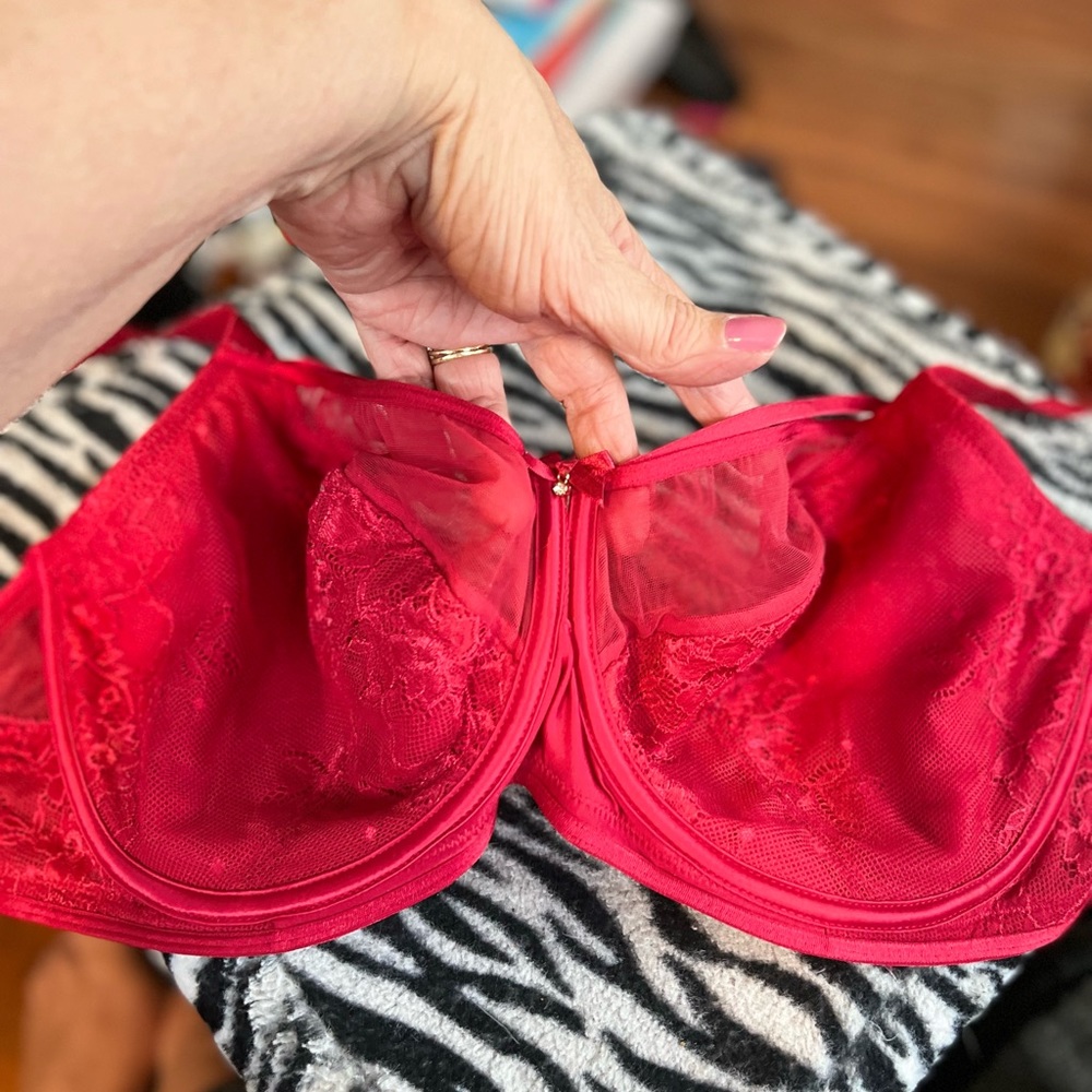 Charade Red Lace Mesh Full Support Underwire Stretch Bra With Sexy Straps Sz 30K